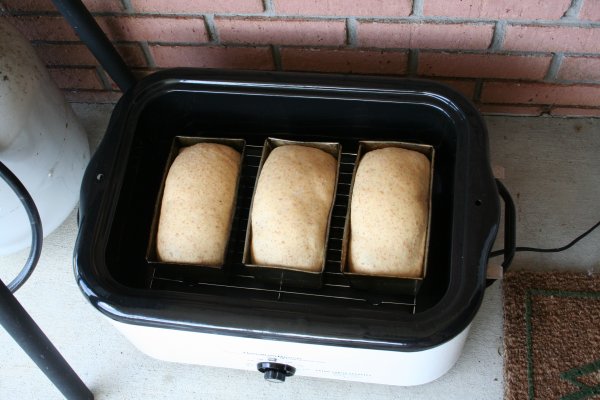 https://supermomnocape.files.wordpress.com/2011/07/three-loaves-ready-to-bake.jpg